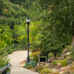 Animas River Trail in Summer