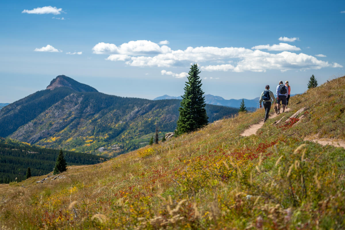 Fall on the Colorado Trail