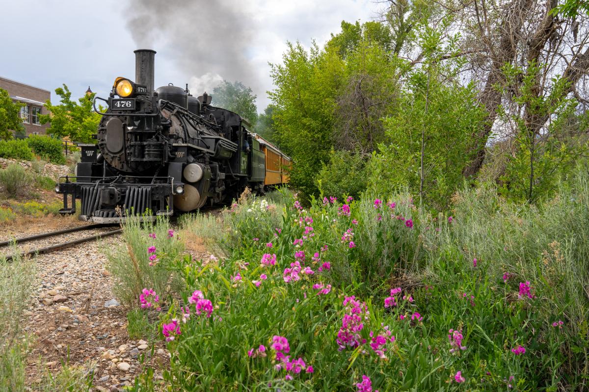 Train