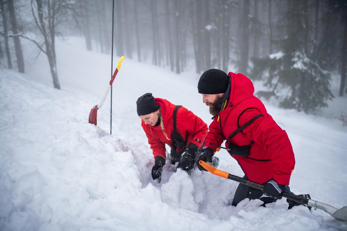 Avalanche Safety Course in Durango, CO