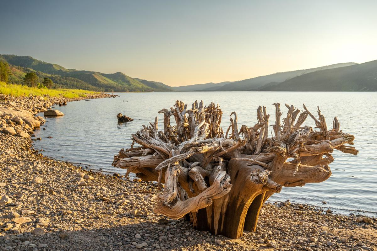 Vallecito Reservoir in the Spring