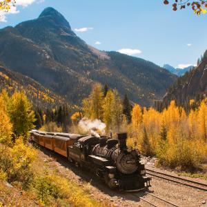 Train with Fall colors